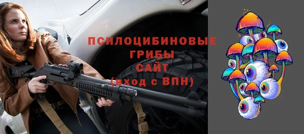 дмт Арсеньев