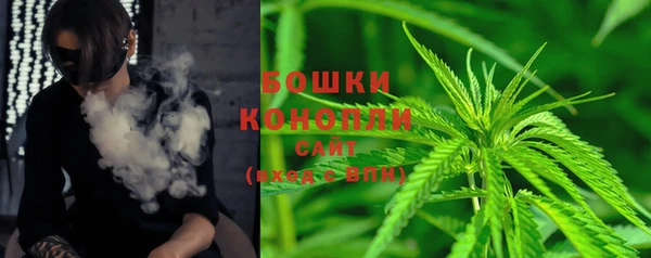 дмт Арсеньев
