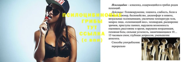 дмт Арсеньев